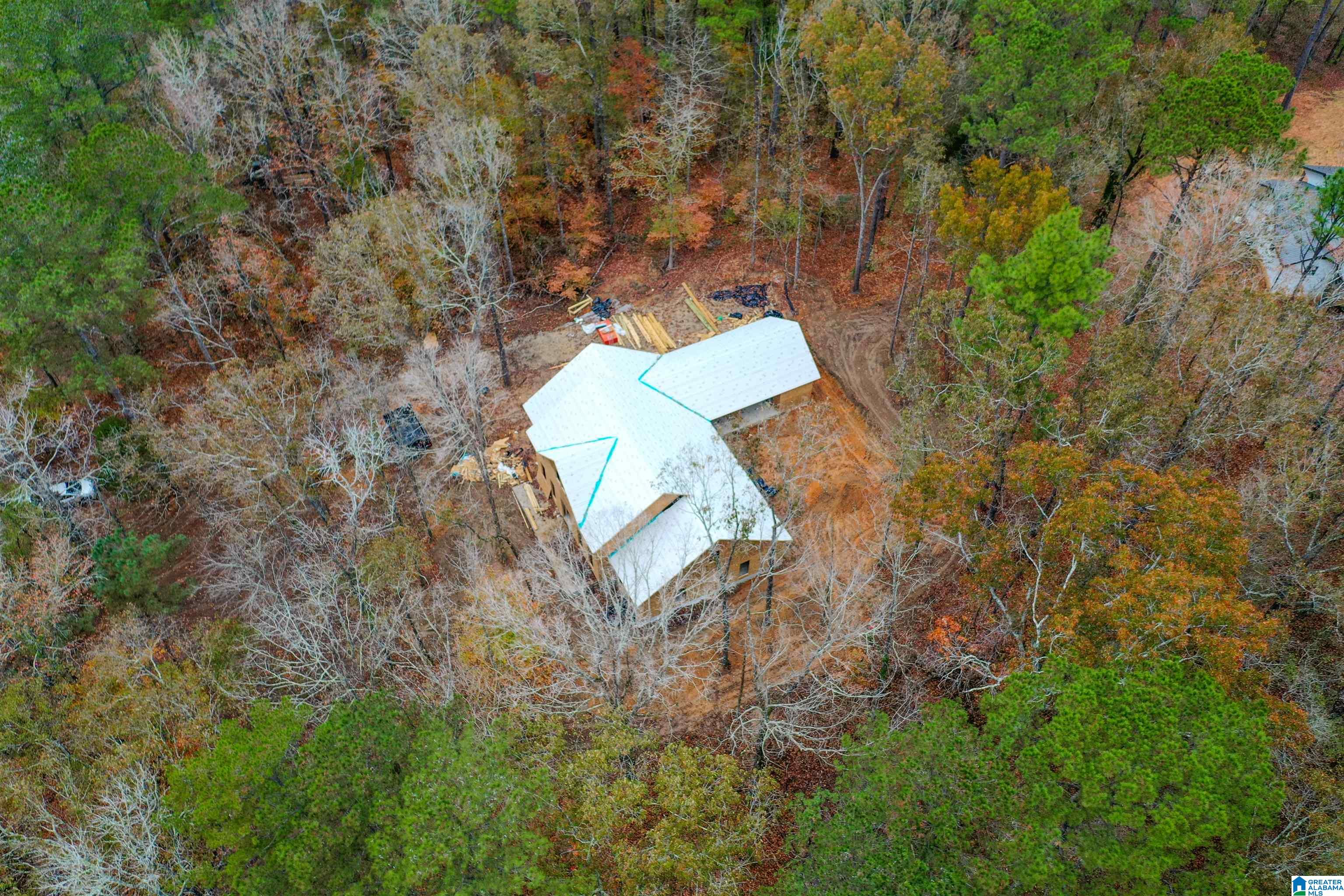 85 Hodgens Road Chelsea, AL 35043 - Photo 9 of 13 Gallery Image 9