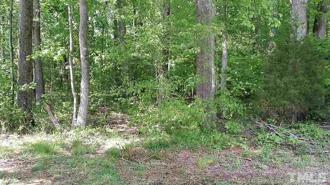 2707 McDade Store Road Cedar Grove, NC 27231 - Photo 12 of 25 Rear of the property is wooded