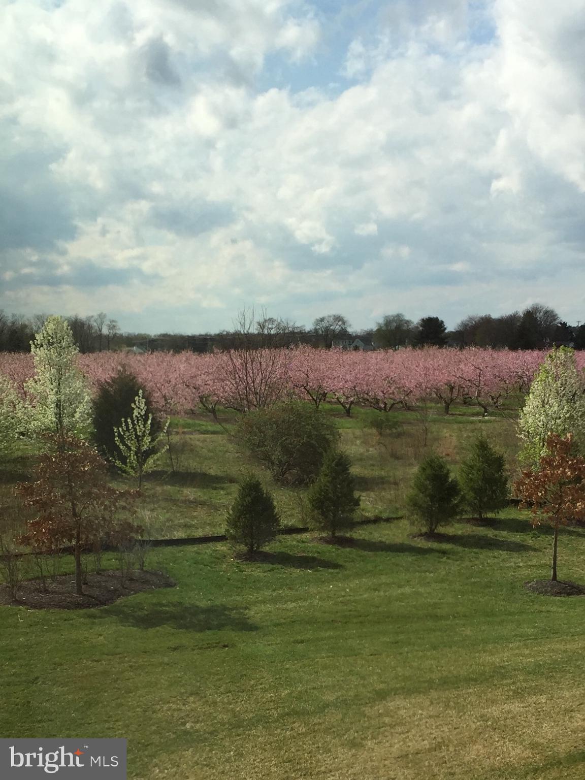 111 Weatherby Lane Glassboro, NJ 08028 - Photo 38 of 95 a view of lake with mountain