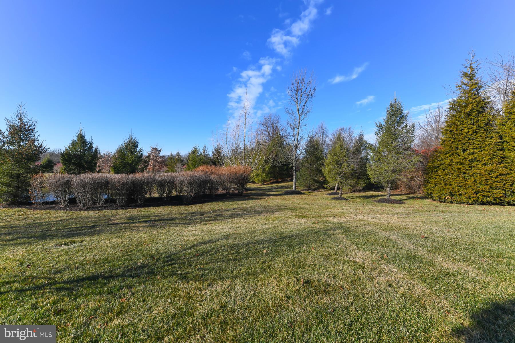 111 Weatherby Lane Glassboro, NJ 08028 - Photo 65 of 95 a view of outdoor space and yard