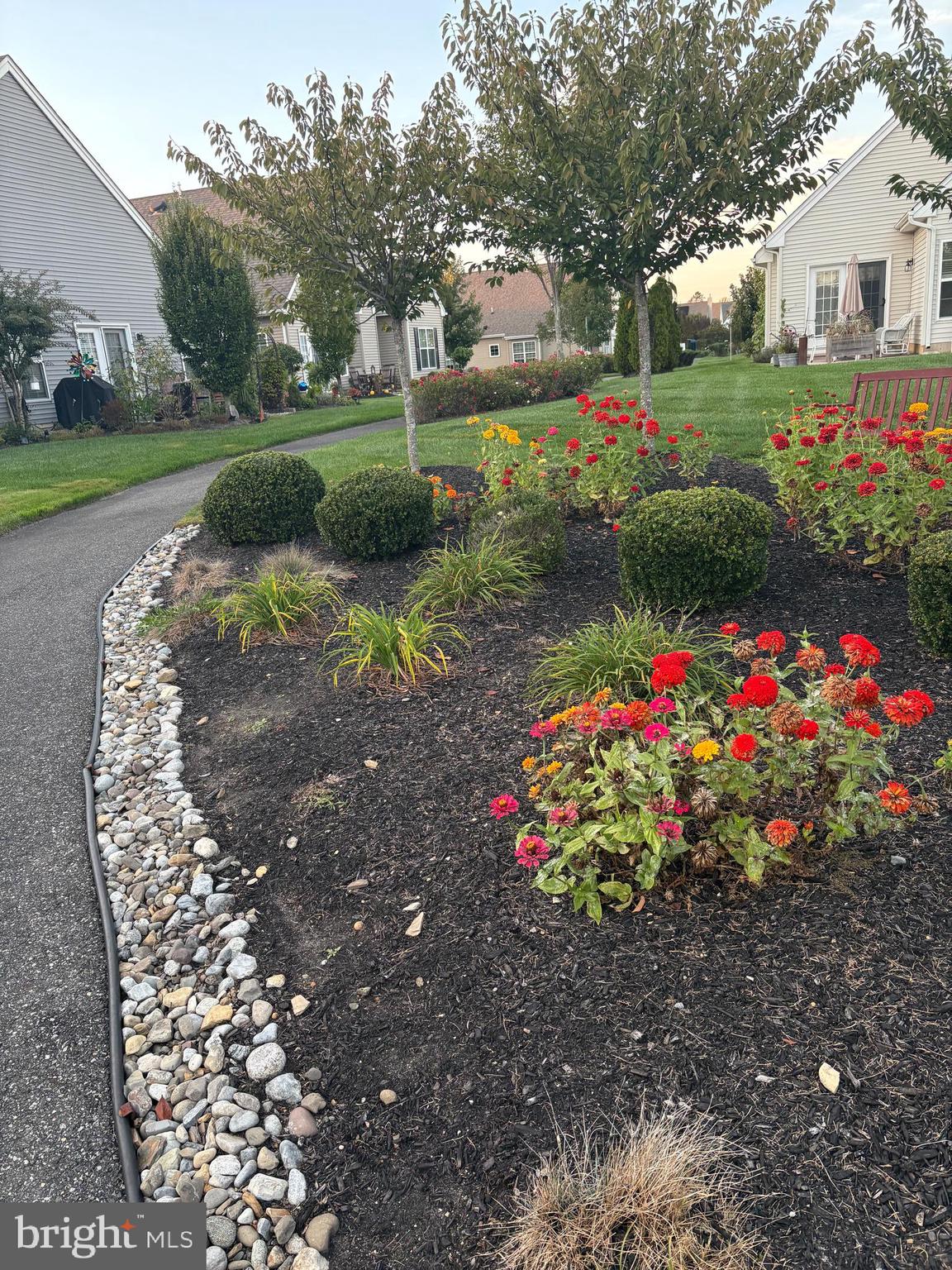 111 Weatherby Lane Glassboro, NJ 08028 - Photo 74 of 95 a view of a garden with flowers