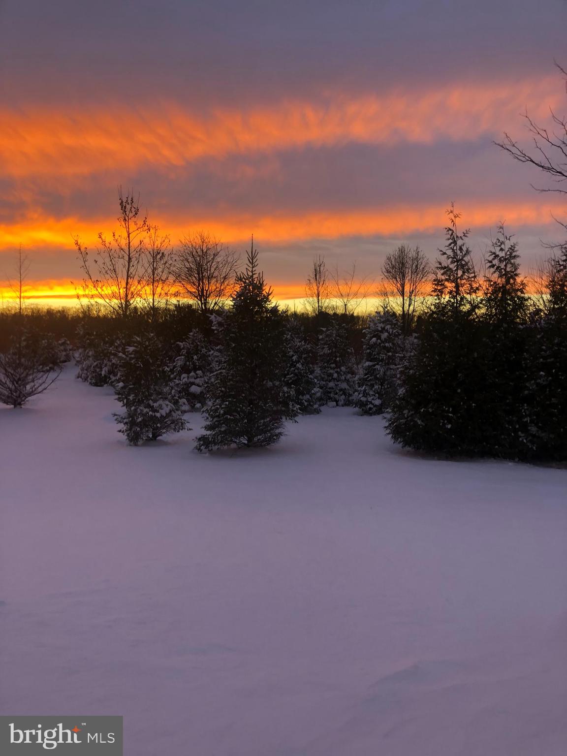 111 Weatherby Lane Glassboro, NJ 08028 - Photo 76 of 95 a view of outdoor space and city view