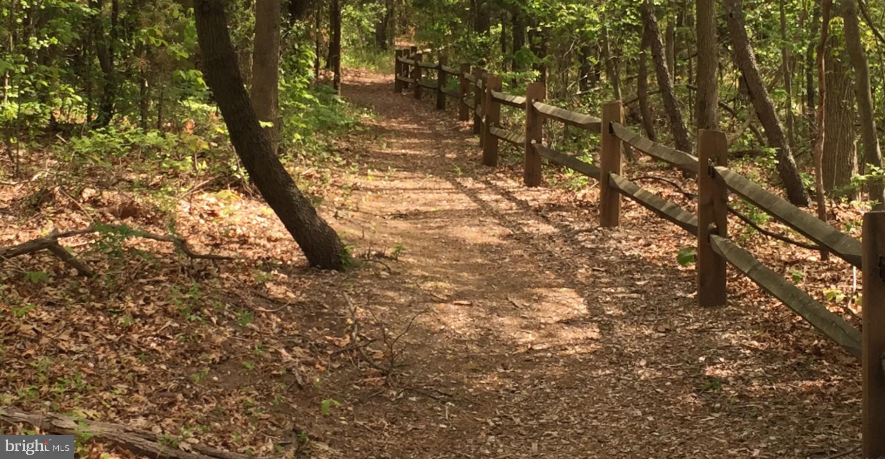 111 Weatherby Lane Glassboro, NJ 08028 - Photo 92 of 95 Nature trails throughout!