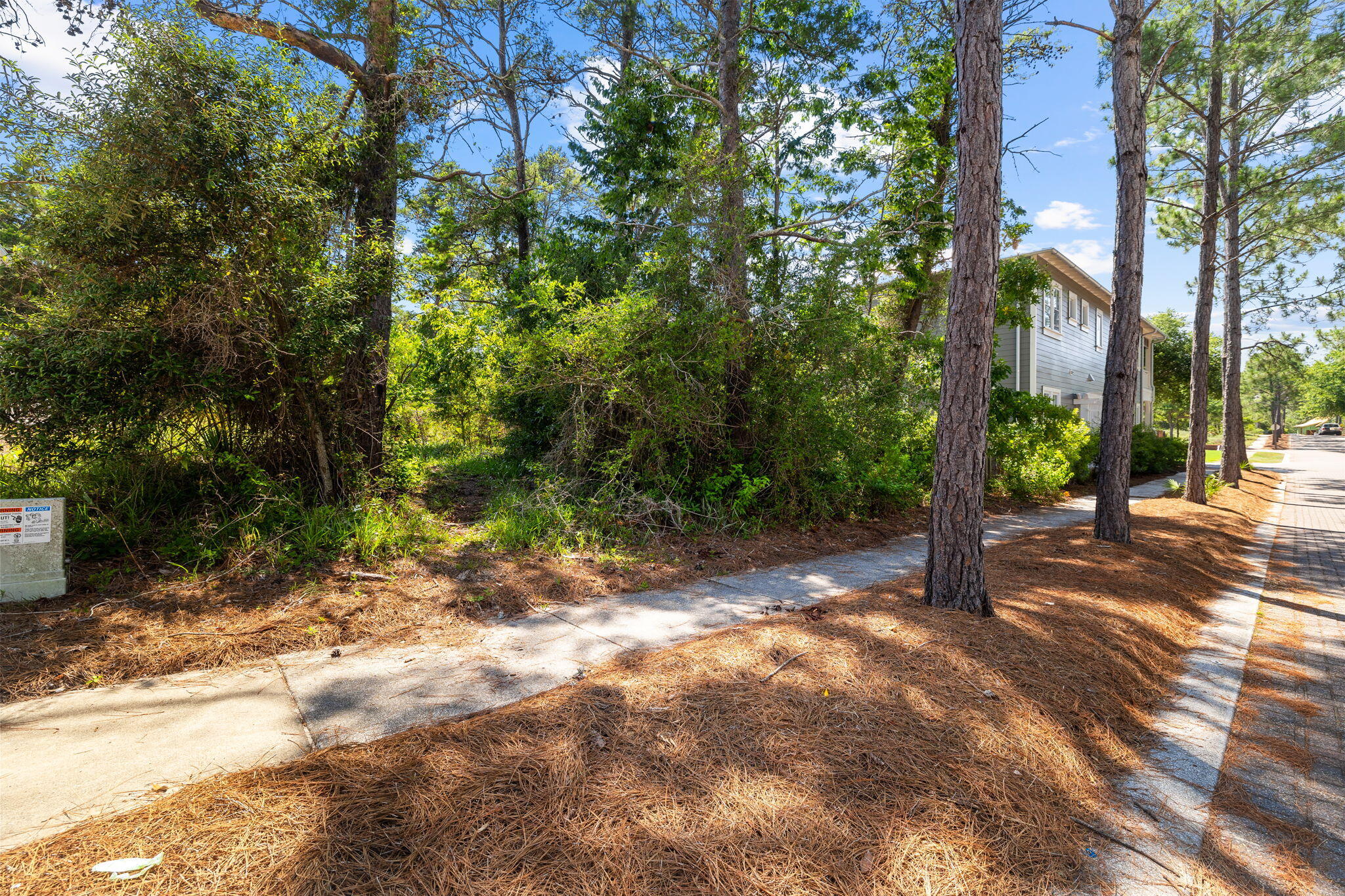 Lot 66 Lanier Lane Santa Rosa Beach, FL 32459 - Photo 10 of 18 a view of a yard with plants and trees