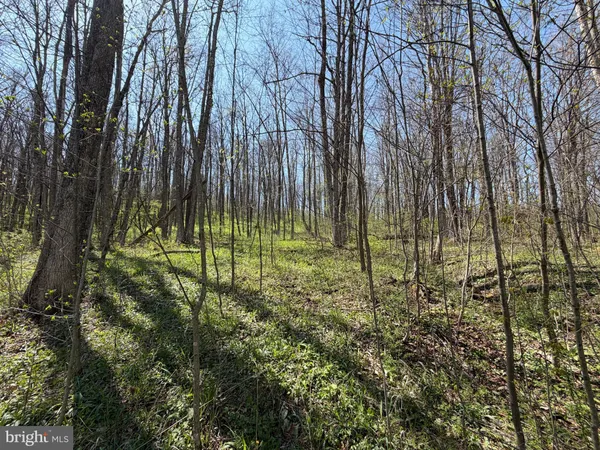 $85,000 | 216 Rock Cut Road, Central City, PA 15926