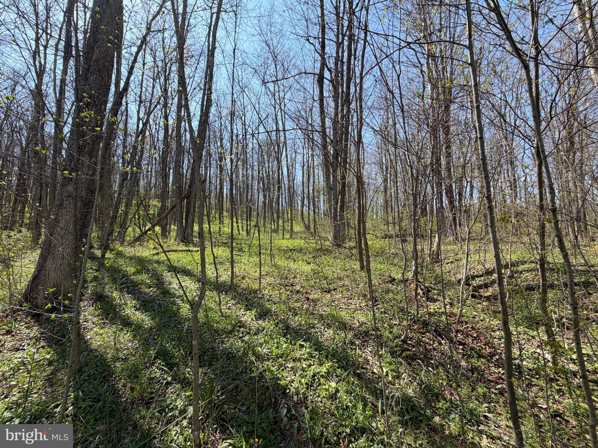 216 Rock Cut Road Central City, PA 15926 - Photo 1 of 23