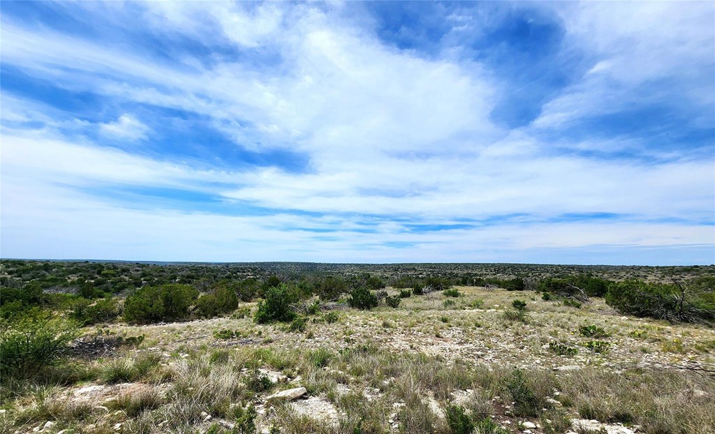 Tbd Tbd Peck Road Comstock, TX 78837 - Photo 18 of 21