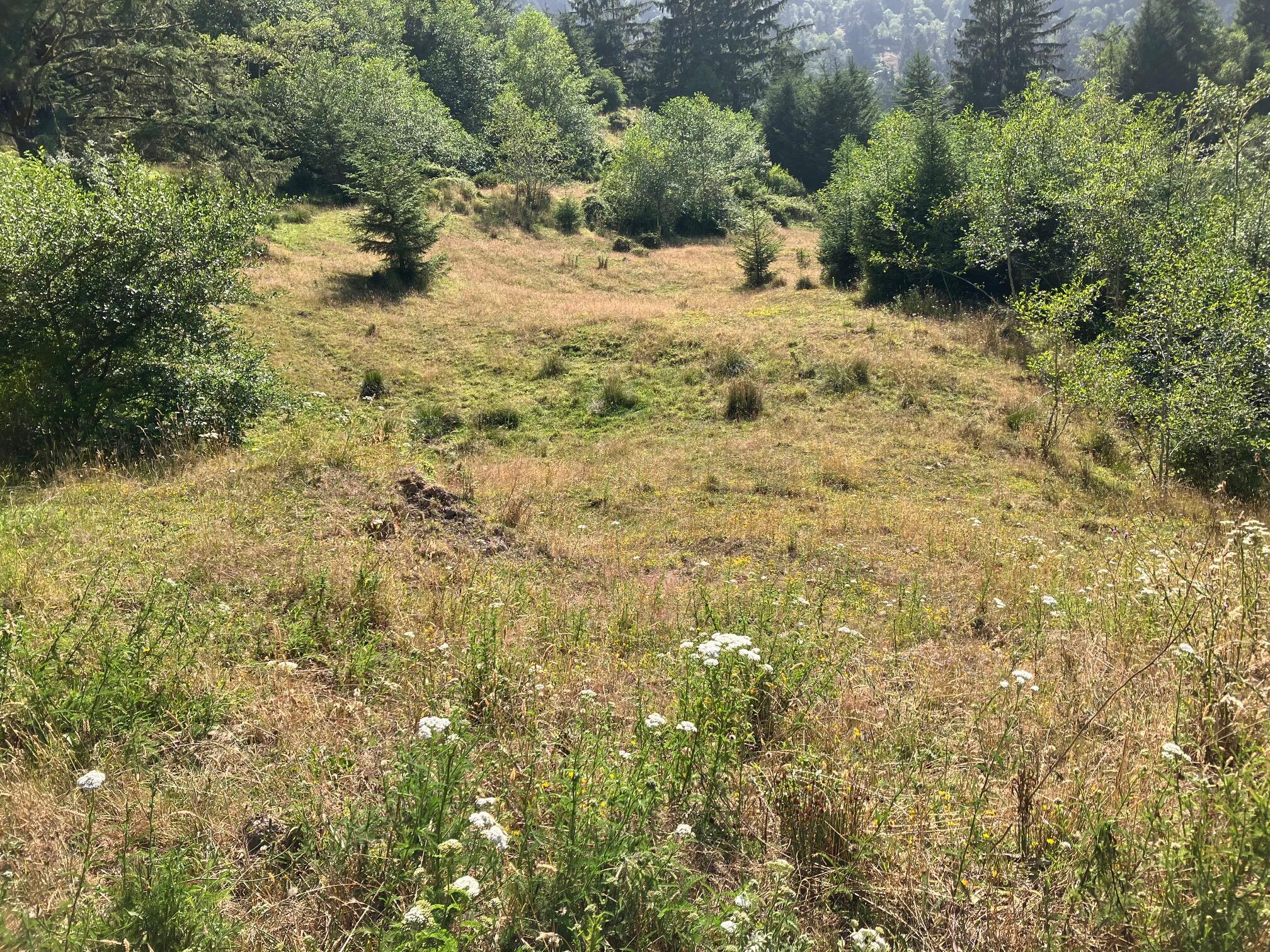 0 Mattole Road Ferndale, CA 95536 - Photo 10 of 10