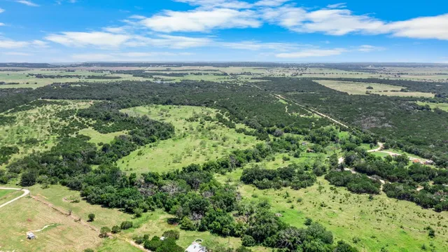 a view of a big yard with plants and large trees