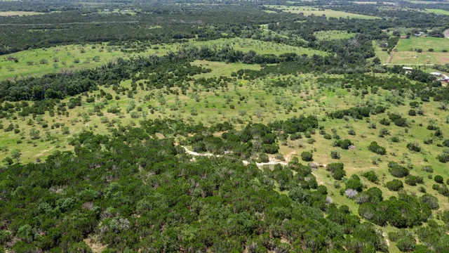 a view of a yard with plants
