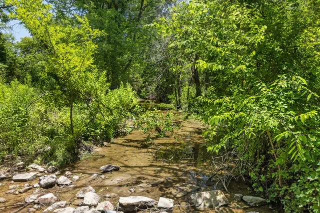 a view of a yard with a tree