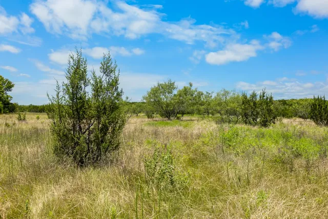 a view of yard with green space