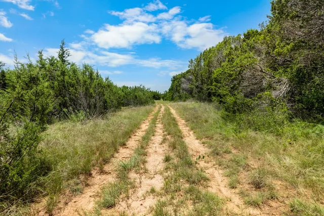 a view of a city with lush green forest