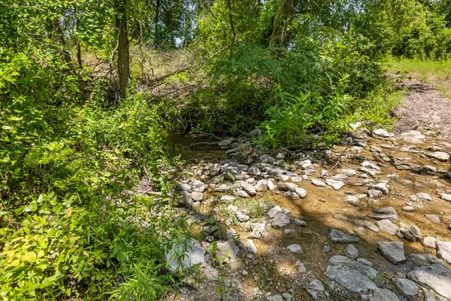 a view of a yard with a tree