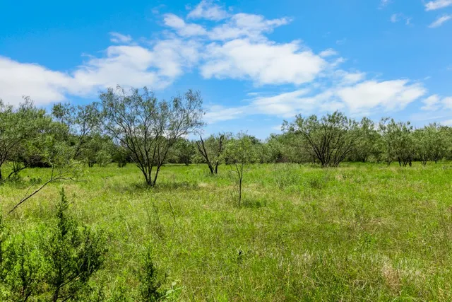 a view of an outdoor space and a yard