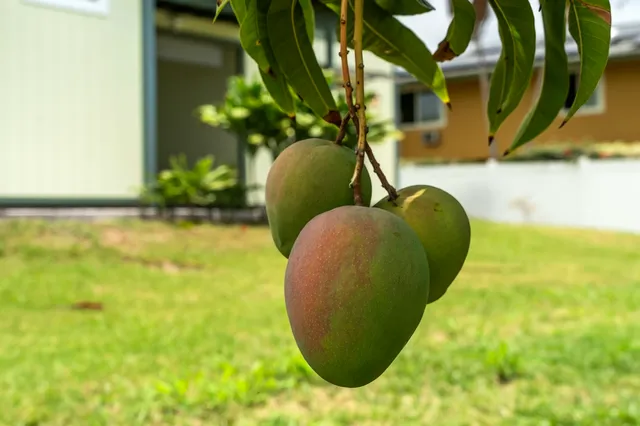 a view of a golf course with a house