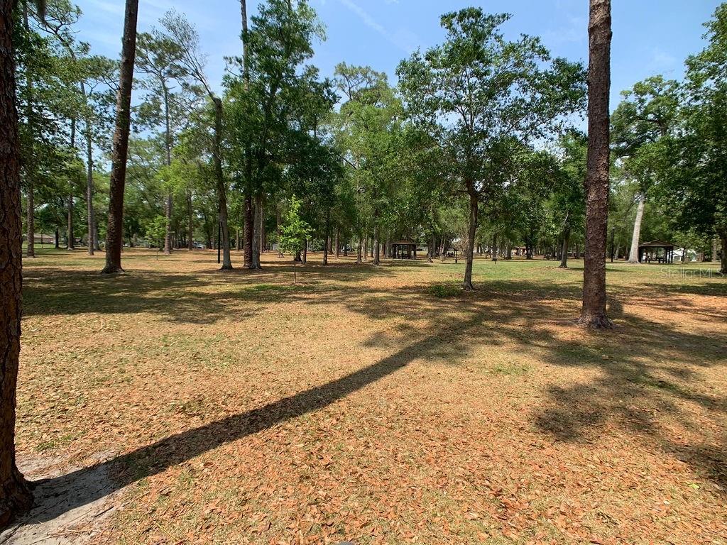 218 East Harding Street Orlando, FL 32806 - Photo 49 of 56