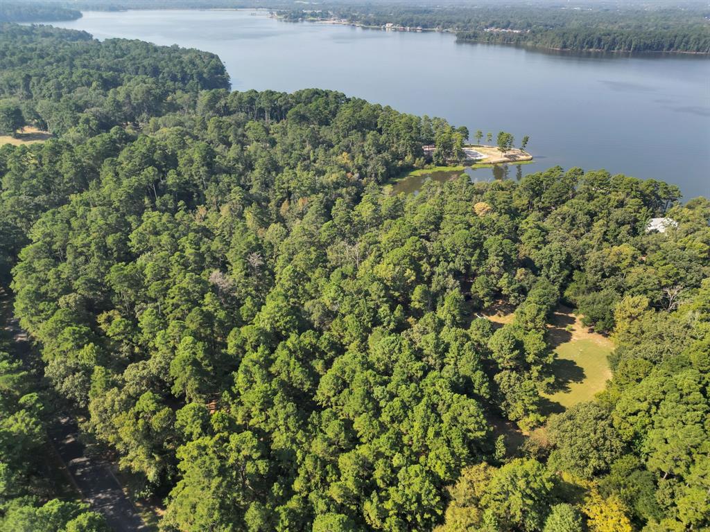20 B Eastside Road Tyler, TX 75707 - Photo 12 of 23 View of property location featuring a forest and a nearby body of water