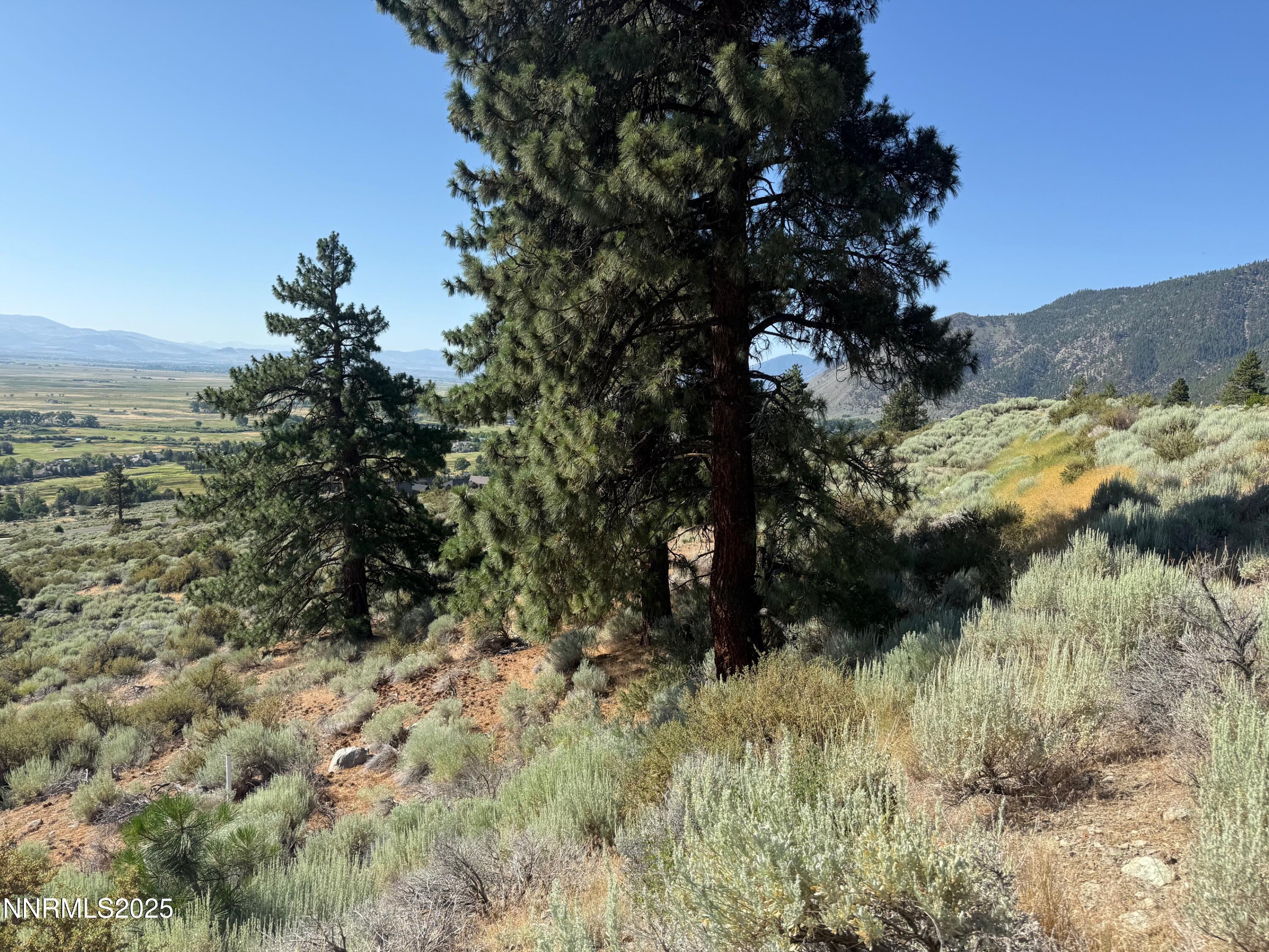 2592 Eagle Ridge Road, Unit 29 Genoa, NV 89411 - Photo 5 of 11 a view of a yard with a tree