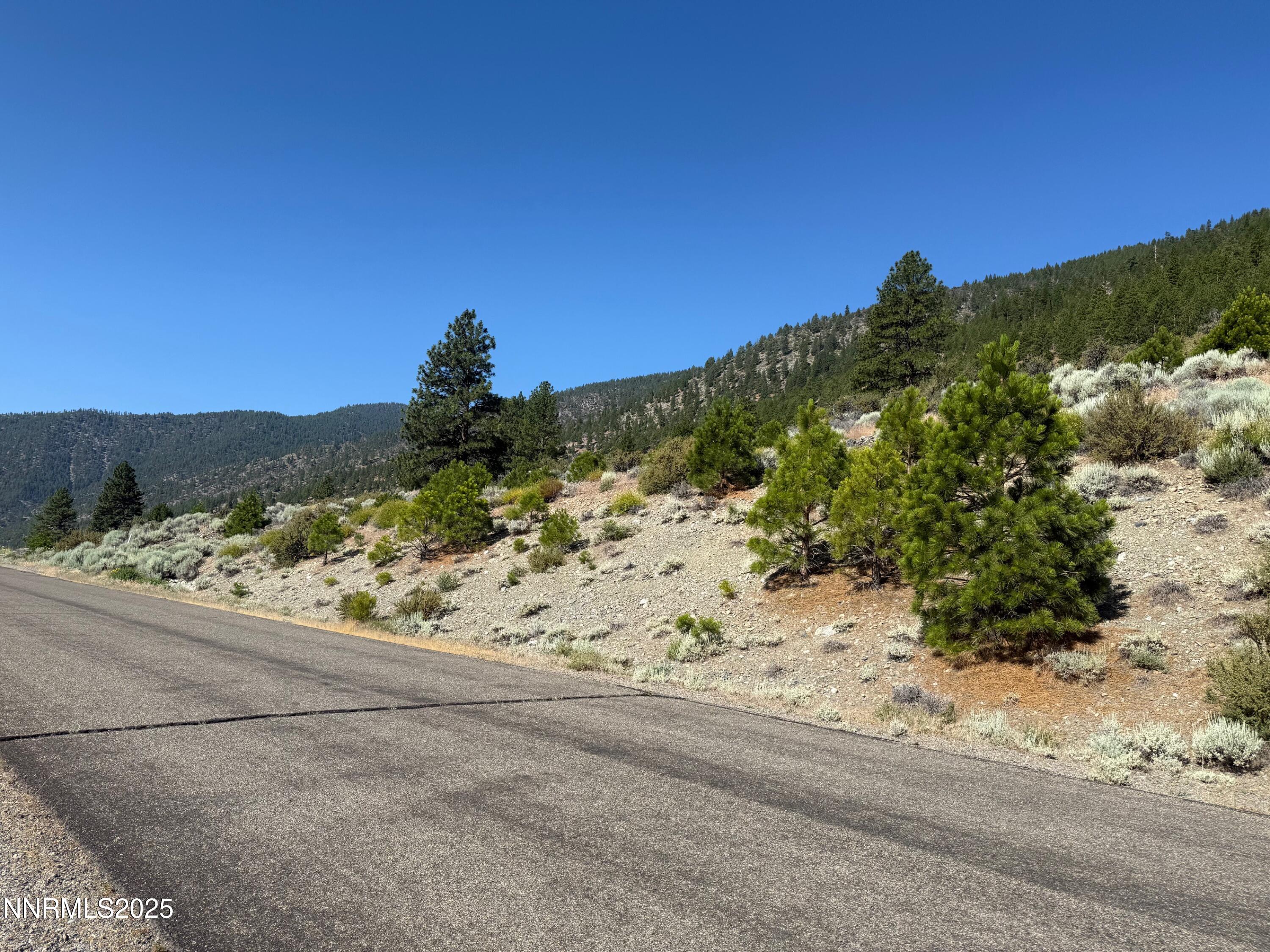 2592 Eagle Ridge Road, Unit 29 Genoa, NV 89411 - Photo 9 of 11 a view of a yard with a mountain