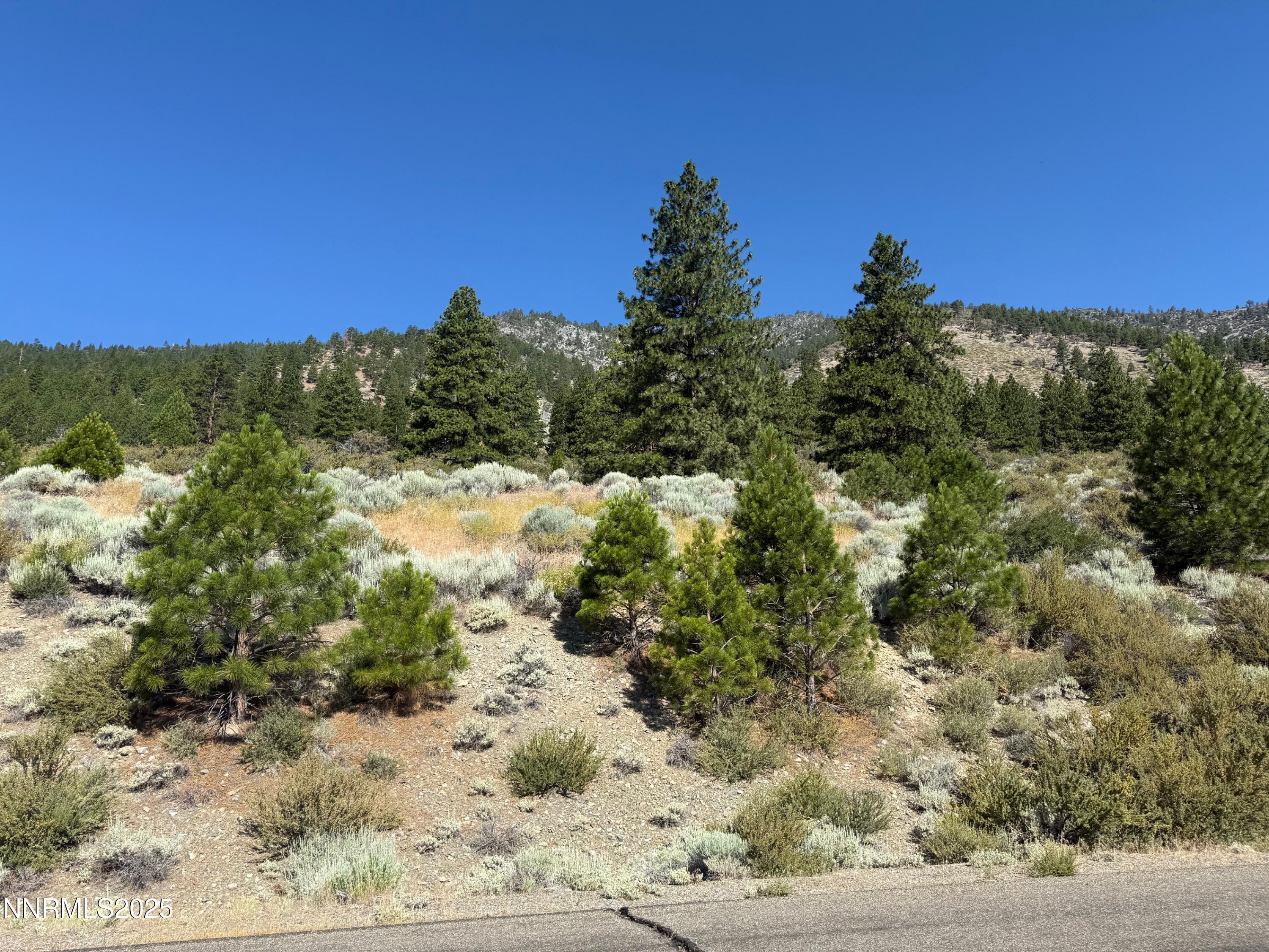 2592 Eagle Ridge Road, Unit 29 Genoa, NV 89411 - Photo 10 of 11 a view of a yard with a tree