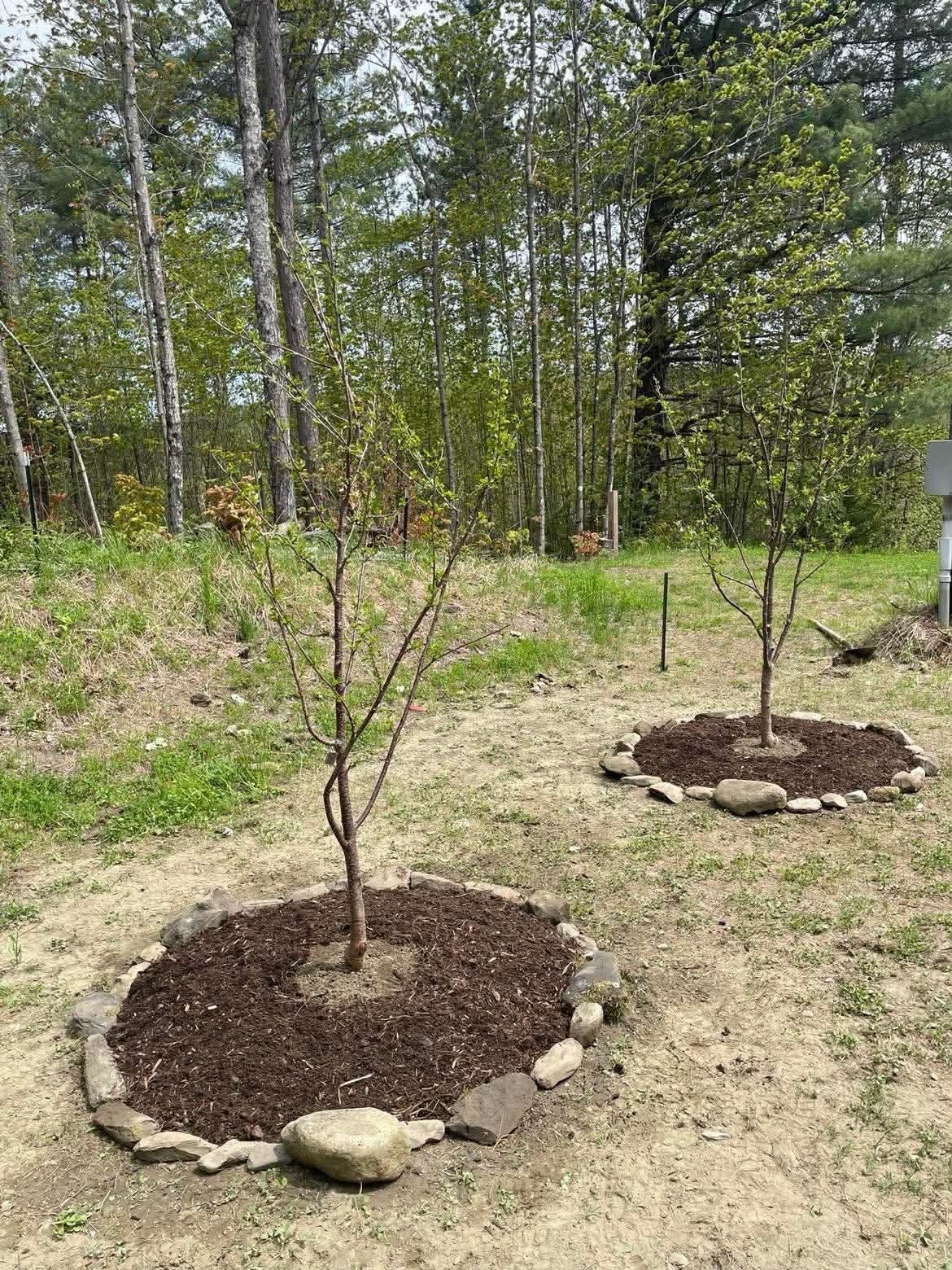 780 Loop Road Northfield, VT 05663 - Photo 29 of 34