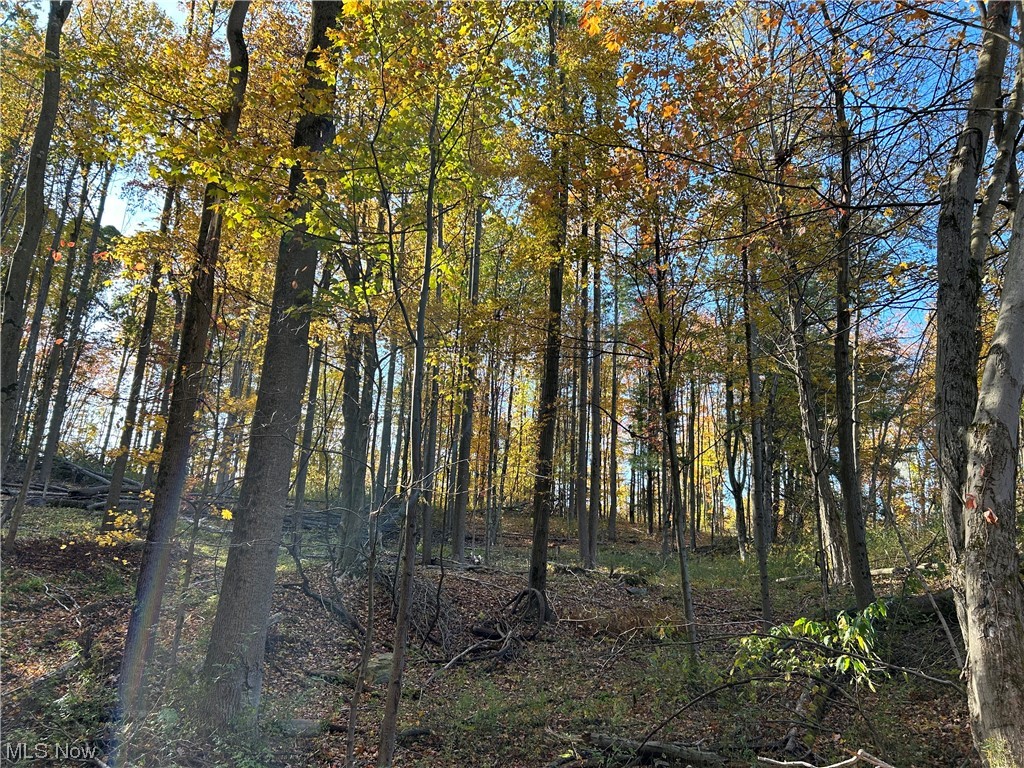 Vl South Ridge Road Conneaut, OH 44030 - Photo 14 of 35 View of local wilderness