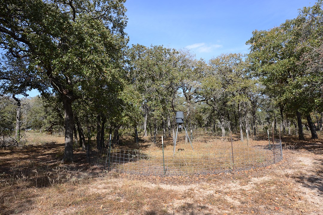 Fm466 Pine Ranch Road Seguin, TX 78155 - Photo 11 of 22