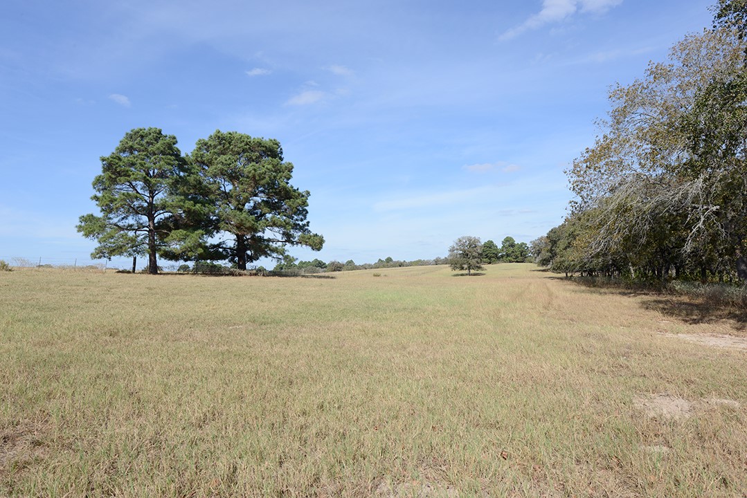 Fm466 Pine Ranch Road Seguin, TX 78155 - Photo 12 of 22