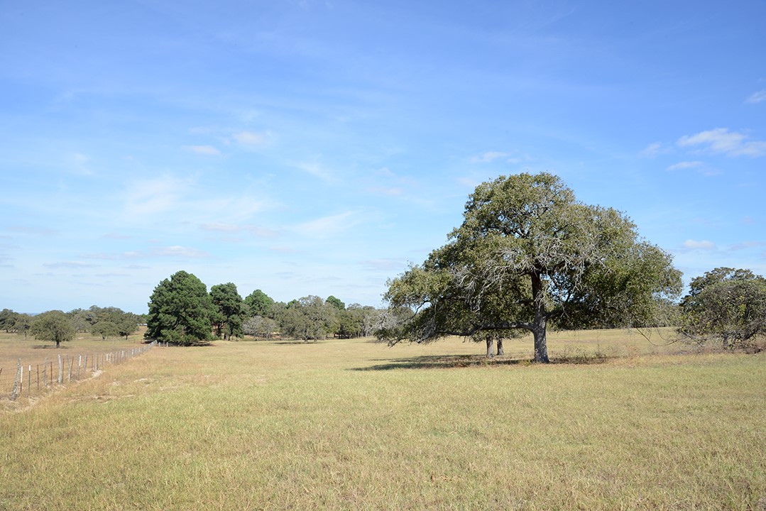 Fm466 Pine Ranch Road Seguin, TX 78155 - Photo 18 of 22