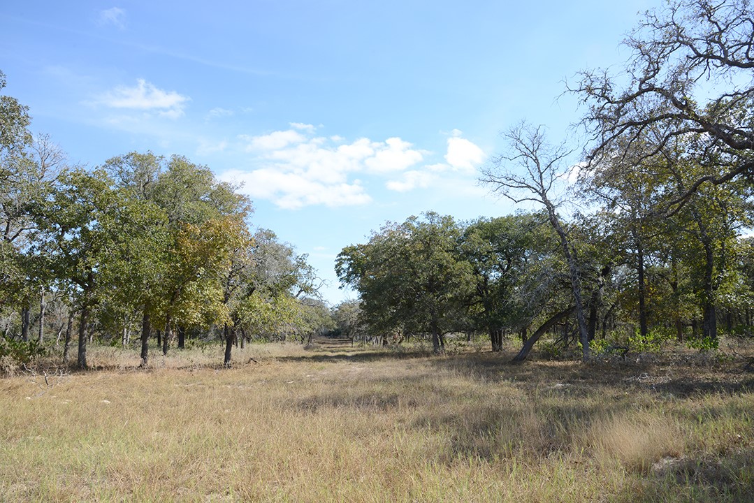 Fm466 Pine Ranch Road Seguin, TX 78155 - Photo 21 of 22