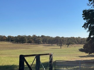 Fm466 Pine Ranch Road Seguin, TX 78155 - Photo 5 of 22