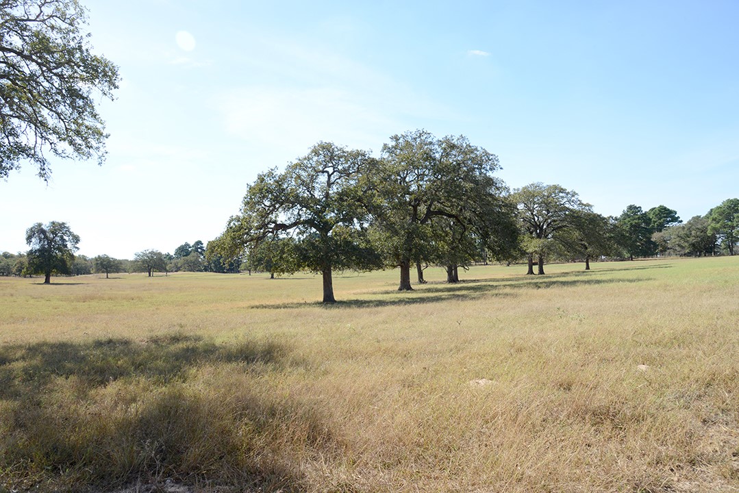 Fm466 Pine Ranch Road Seguin, TX 78155 - Photo 7 of 22