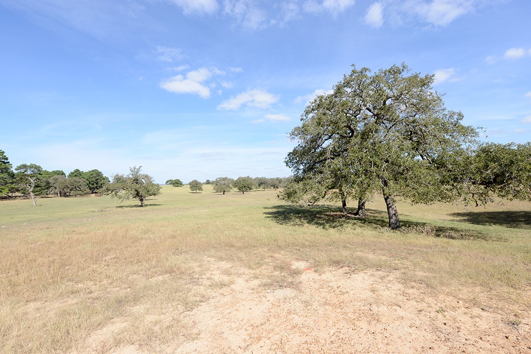 Fm466 Pine Ranch Road Seguin, TX 78155 - Photo 9 of 22