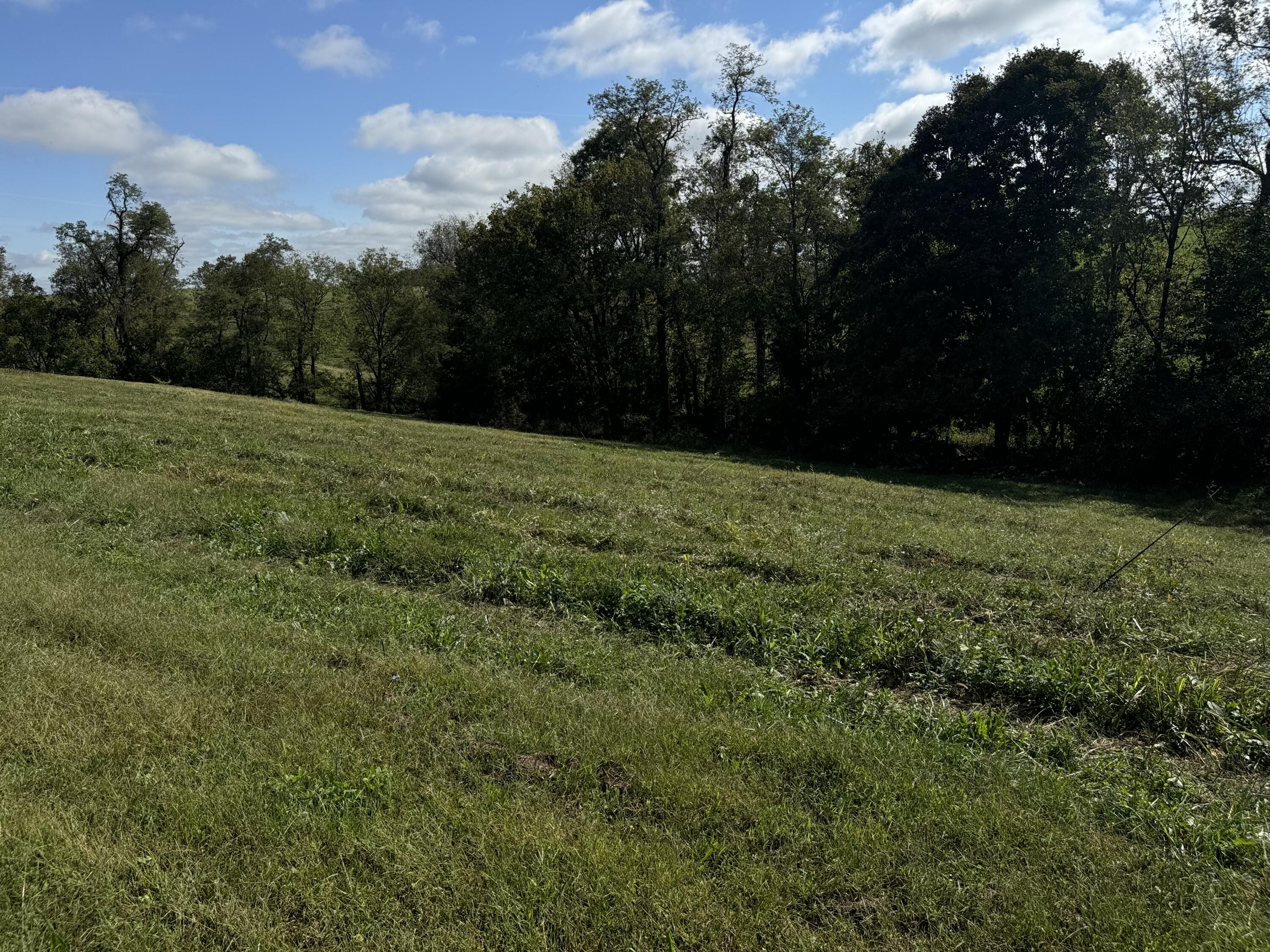 968 Nina Ridge Road Lancaster, KY 40444 - Photo 17 of 22 IMG_2552