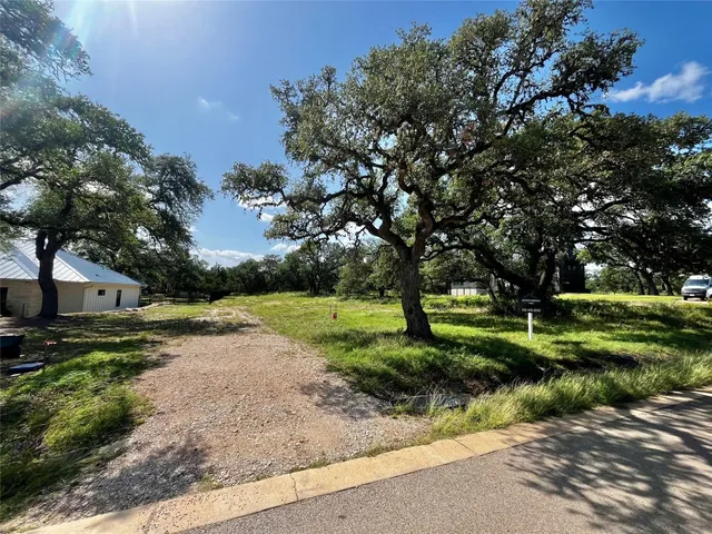 a view of a park with large trees