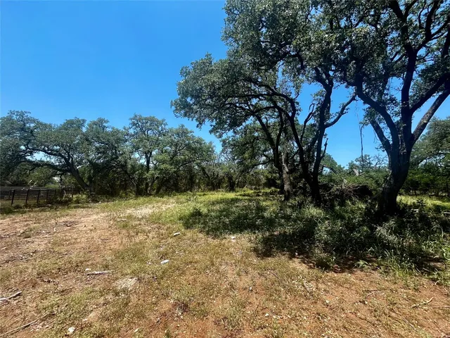 a view of a yard with plants and trees