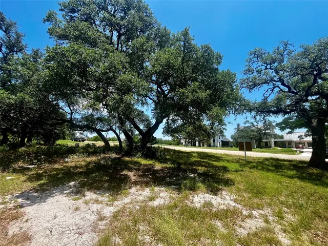 a view of a yard with plants