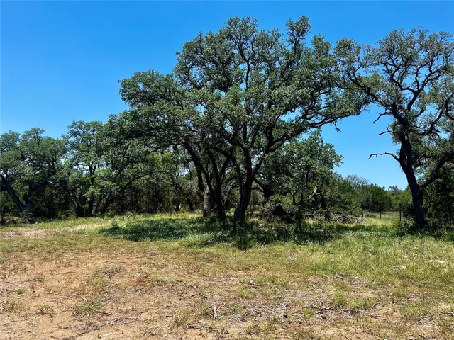 a view of outdoor space with trees all around