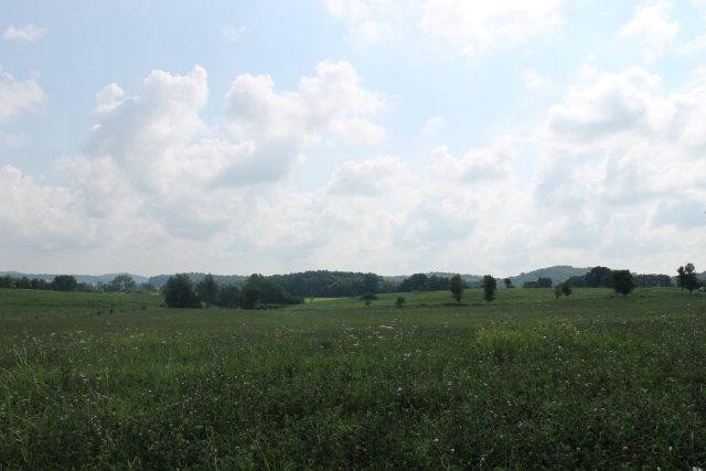 0 Carl Brown Road Mount Vernon, KY 40456 - Photo 1 of 17 Photo 1