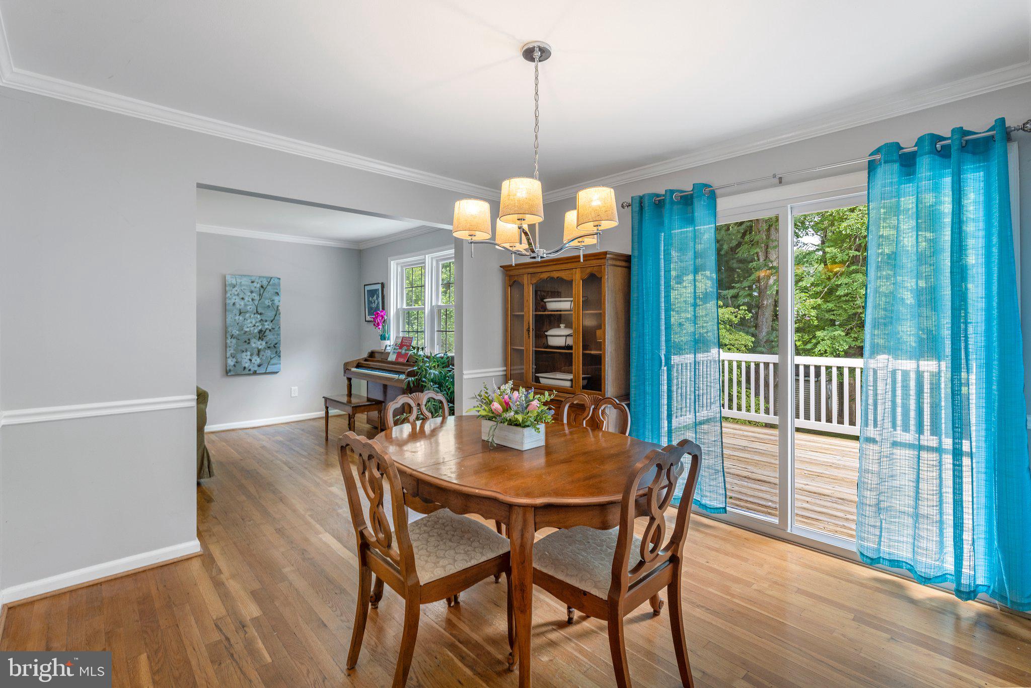 14201 Sturtevant Road Silver Spring, MD 20905 - Photo 13 of 53 Dining room