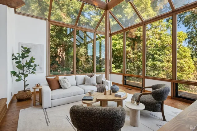a living room with furniture and a potted plant