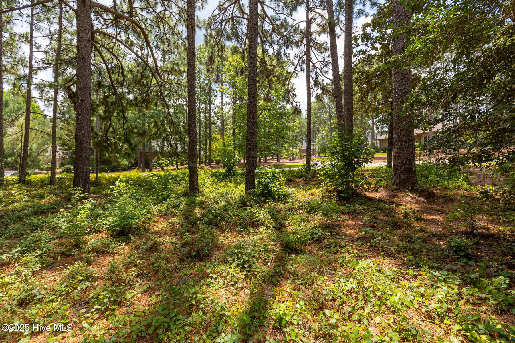 20 Kilbride Drive Pinehurst, NC 28374 - Photo 1 of 10 20 Kilbride Dr-5
