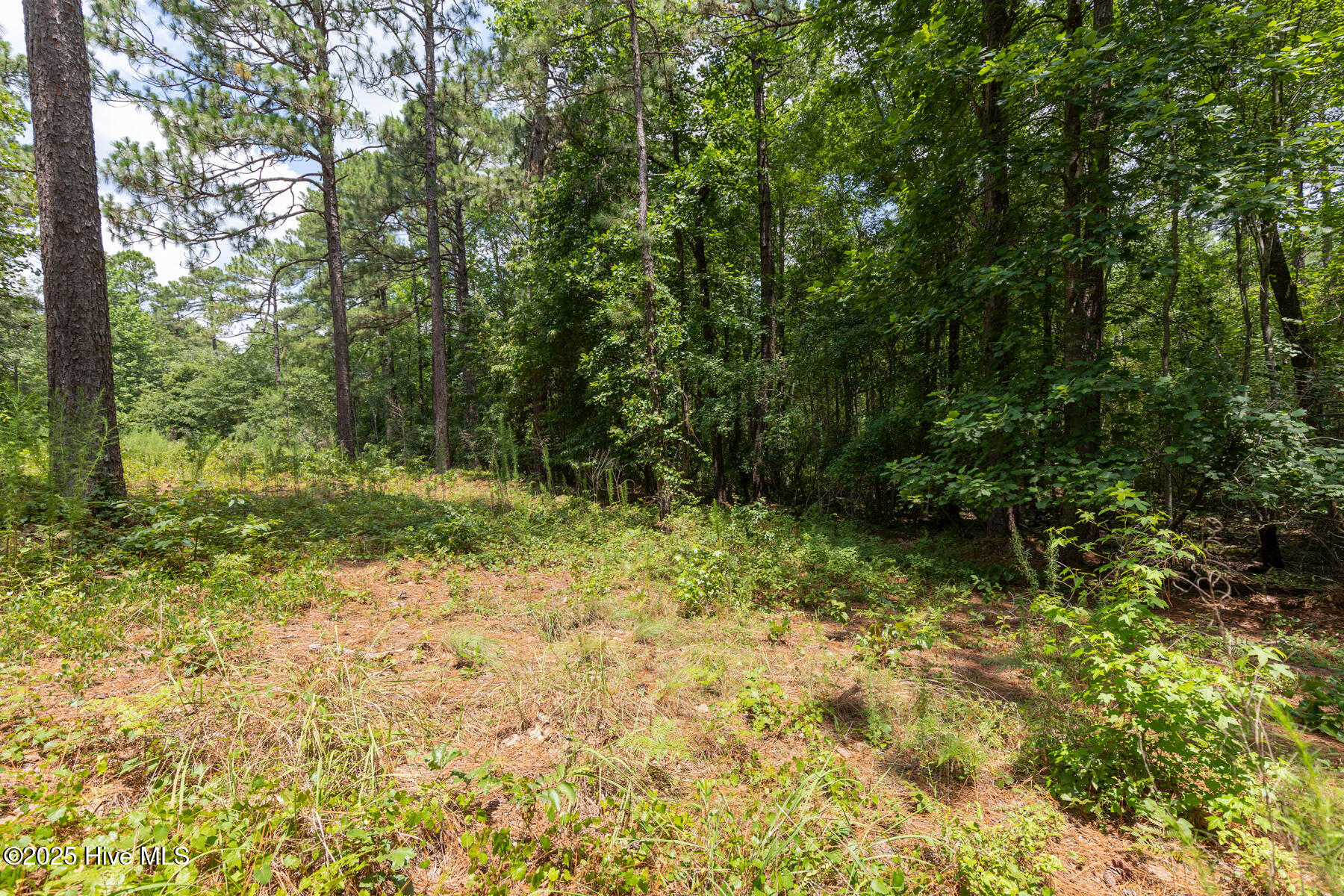 20 Kilbride Drive Pinehurst, NC 28374 - Photo 4 of 10 20 Kilbride Dr-4