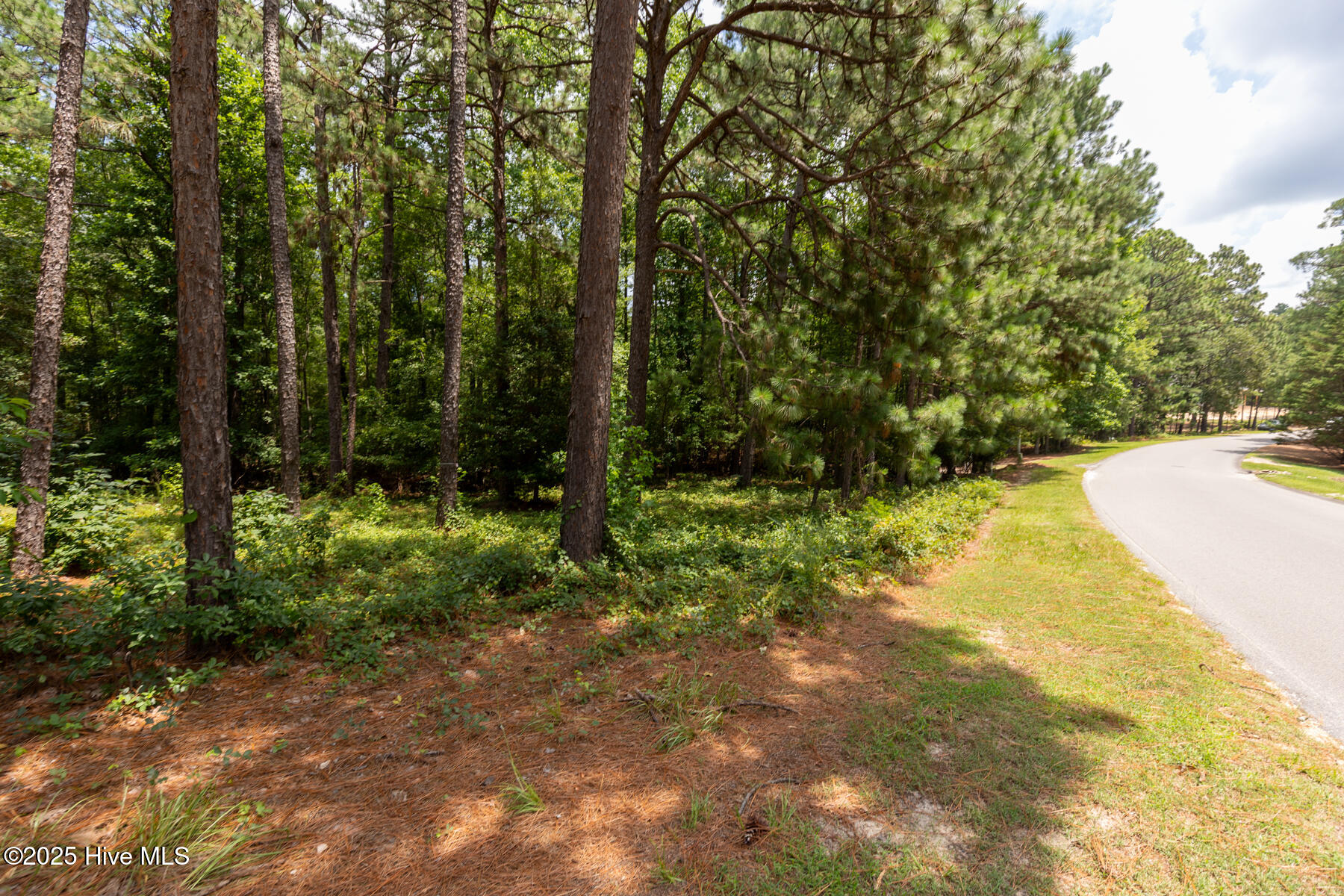 20 Kilbride Drive Pinehurst, NC 28374 - Photo 5 of 10 20 Kilbride Dr-11