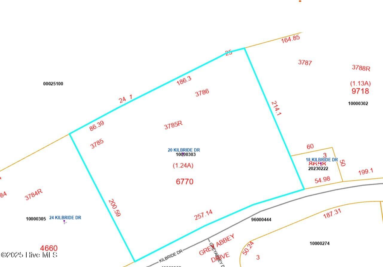 20 Kilbride Drive Pinehurst, NC 28374 - Photo 10 of 10 County_Plat