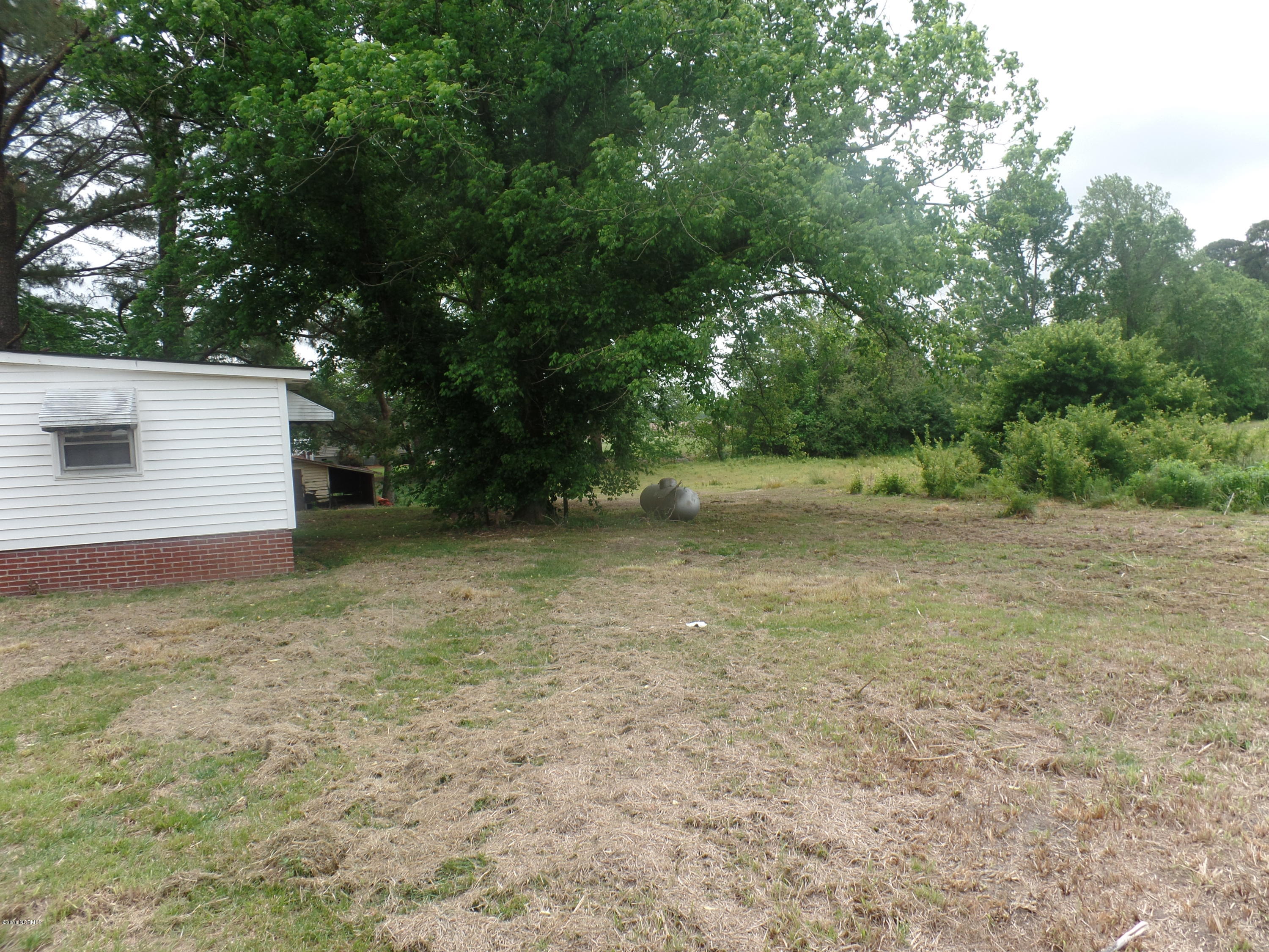 1041 Penny Branch Road Warsaw, NC 28398 - Photo 6 of 12 back yard