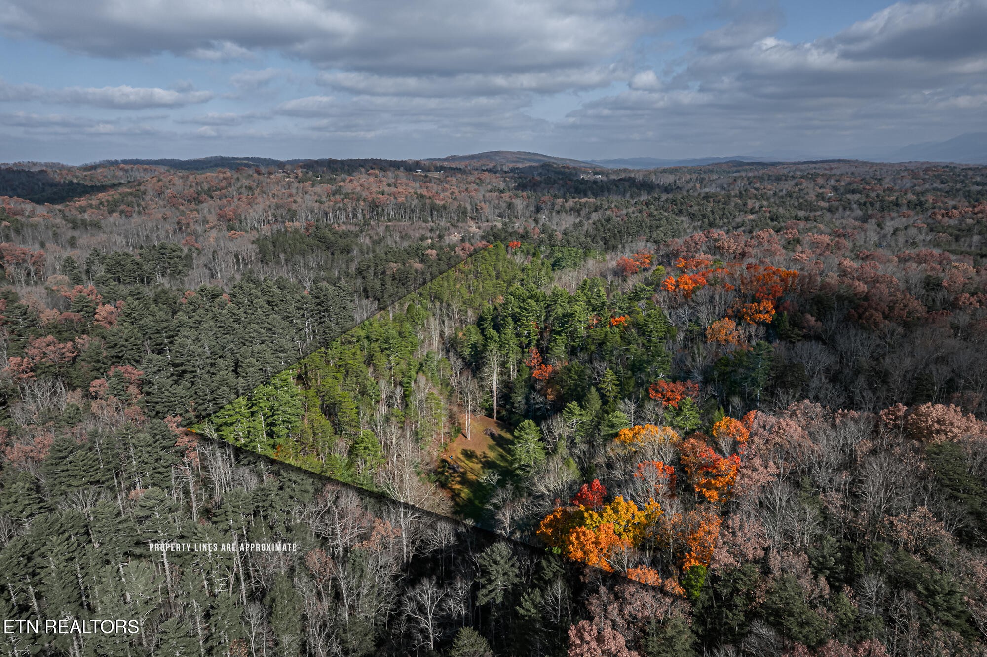 0 Pond Ridge Road Tellico Plains, TN 37385 - Photo 23 of 32