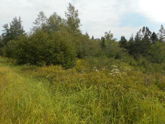 202 Indian River Road Addison, ME 04606 - Photo 10 of 13 Photo
