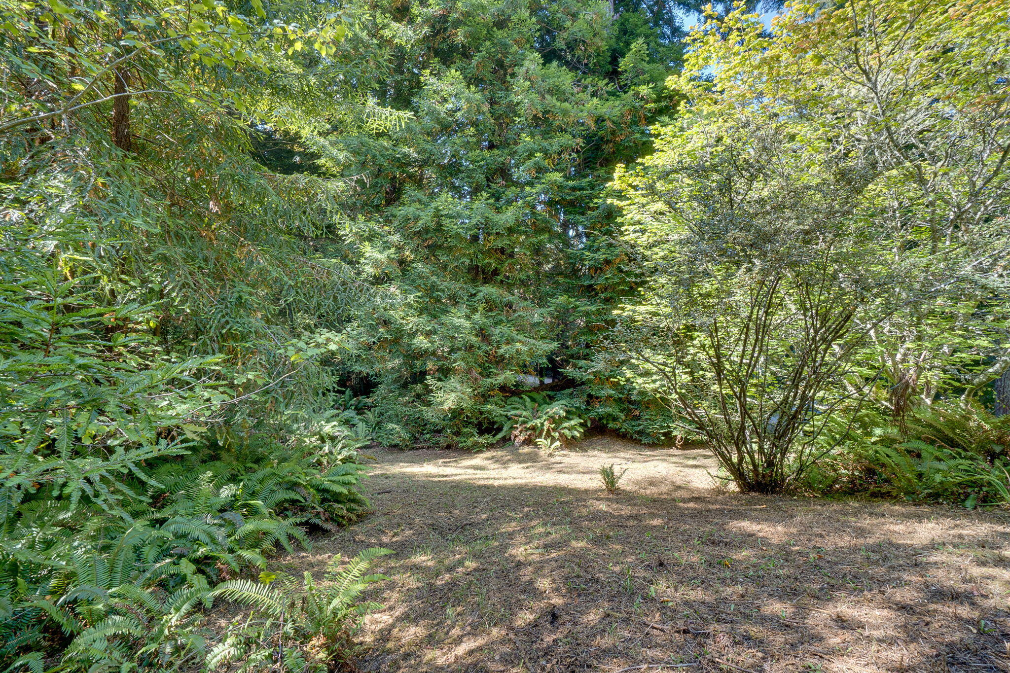 7725 Torgersen Road Eureka, CA 95503 - Photo 63 of 78 57-web-or-mls-106